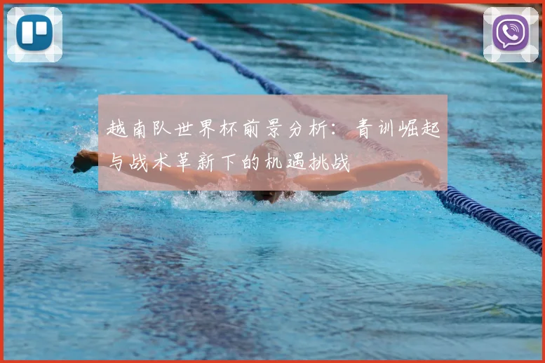 越南队世界杯前景分析：青训崛起与战术革新下的机遇挑战