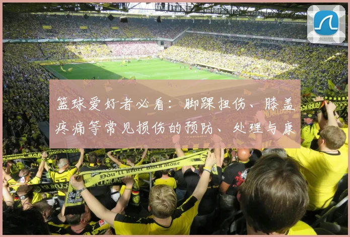 篮球爱好者必看:脚踝扭伤、膝盖疼痛等常见损伤的预防、处理与康复全攻略